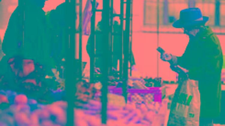 Forced Early Retirement For Entire Public Sector In Hungary