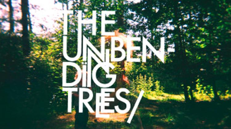 The Unbending Trees: Hungarian Pop Makes Good