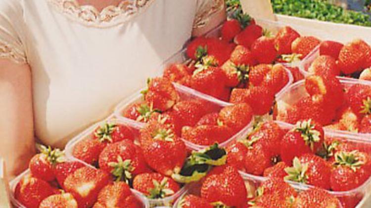 Invitation: Strawberry Festival, Tahitóthfalu, Hungary, 8 - 10 June