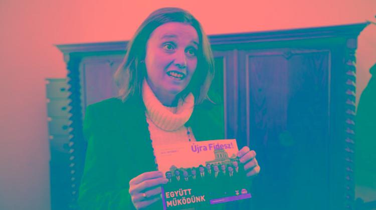 Mayor Suspends Councillors’ Salaries In Hungary