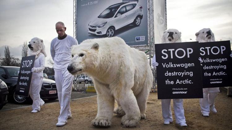 Greenpeace Bear Protests At Shell  Budapest Headquarters