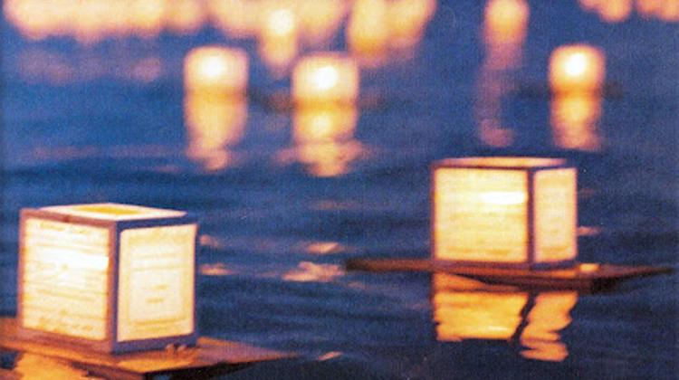 Xpat Opinion: Romai At Night - By Treehugger Dan