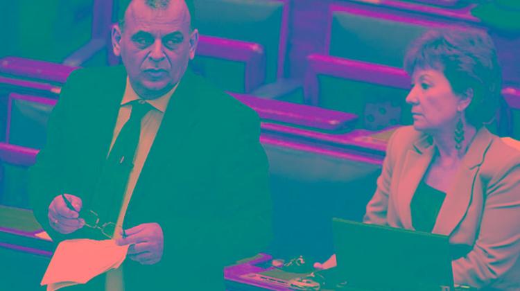 Xpat Opinion: Fierce Debate About Domestic Violence In Hungary