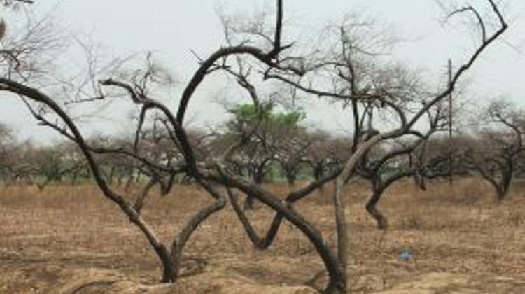 Hungarian Proposal To Ease Damage Caused By Drought