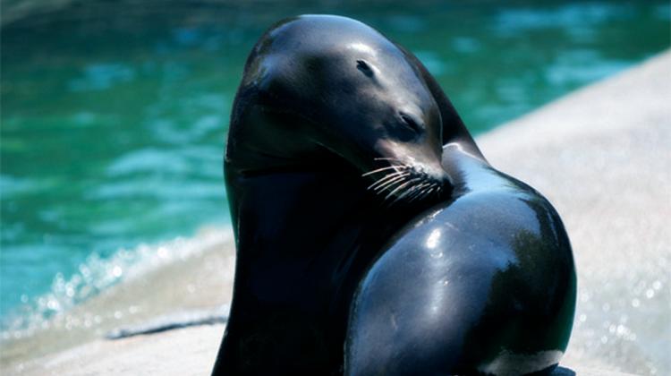 'We Care' Program At Hilton Budapest Hotel