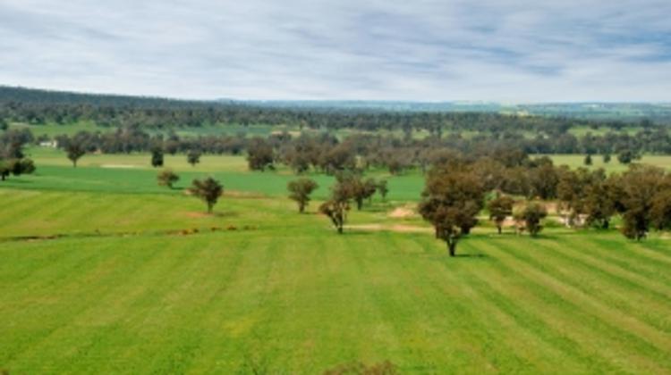 Hungarian Gov't Bans Sale Of Farmland To Foreigners