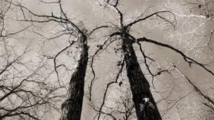 Xpat Opinion: The Cooperation Of The Hungarian Opposition In Action