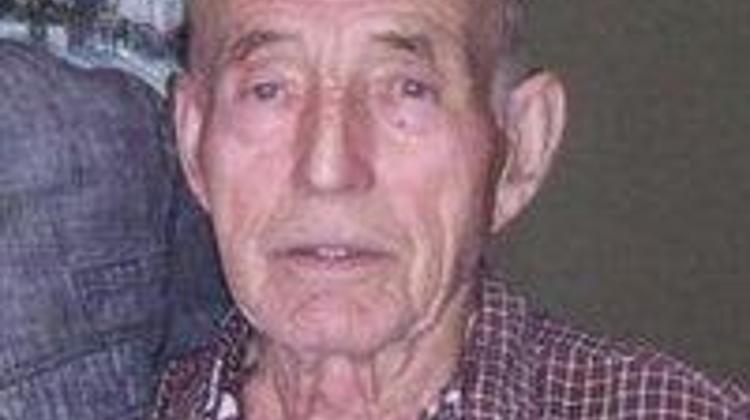 Please Help Us Find 86 Years Old Man In Hungary