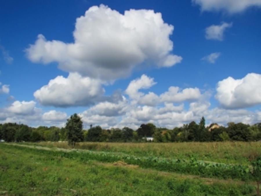 Angry Hungarian Farmers Take Land In Kajászó