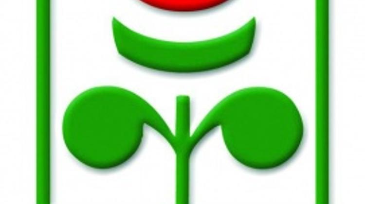 Budapest Spring Festival Founder Dies