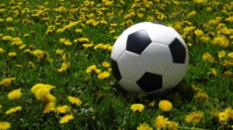 Hungarian Football To Adopt Foreign Player Quota