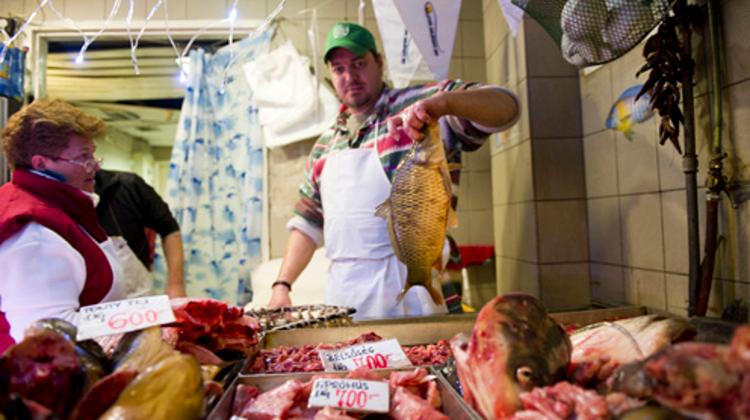 Stringent Checks On Pangasius Fish Products In Hungary