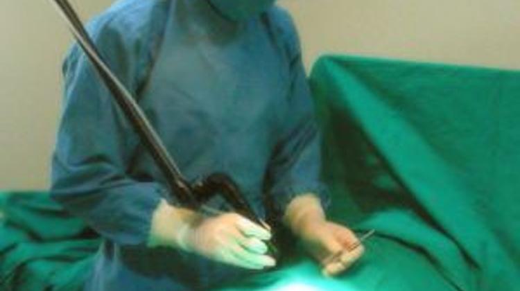 All In Need Will Be Treated In Hungary