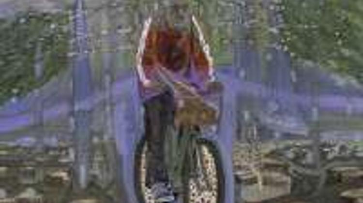 Now On: Imre Bukta Exhibition, Műcsarnok Budapest