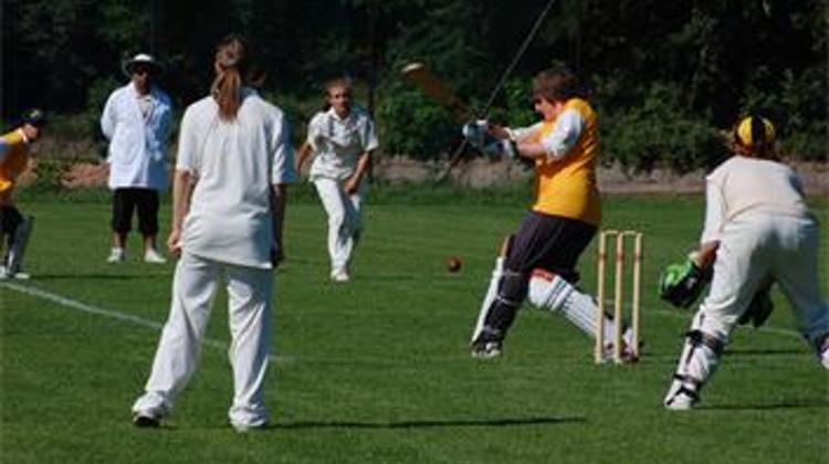Xpat Opinion: Cricket in Hungary - Yes, Really