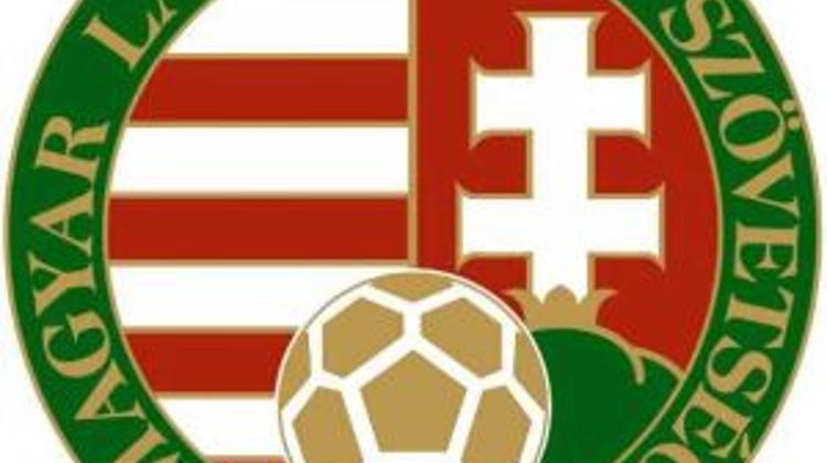 Hungary's Football Association To Sue Hooligans For Damages