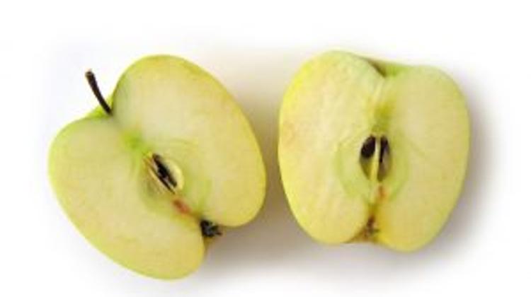 Xpat Opinion: A Divided Hungary Foreseen For 2013