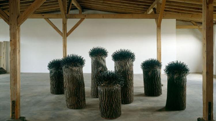 Now On: Uecker Exhibition, Museum Of Fine Arts Budapest