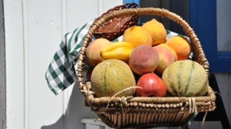 50 %  Increase In Fruit & Vegetable Exports Planned In Hungary