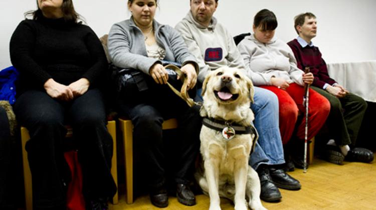 Institute For Blind In Budapest To Be Renovated