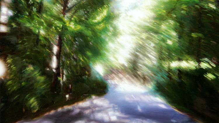 Now On: Ágnes Szikra’s Exhibition: „Sensus” At The OTP Bank Gallery