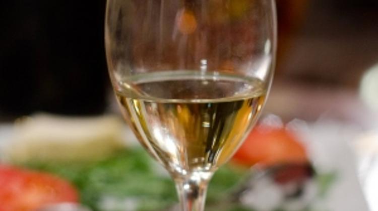 Success In Germany For Hungarian Organic Wine