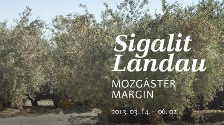 Invitation: Sigalit Landau  Exhibition, Műcsarnok Budapest, 14 March