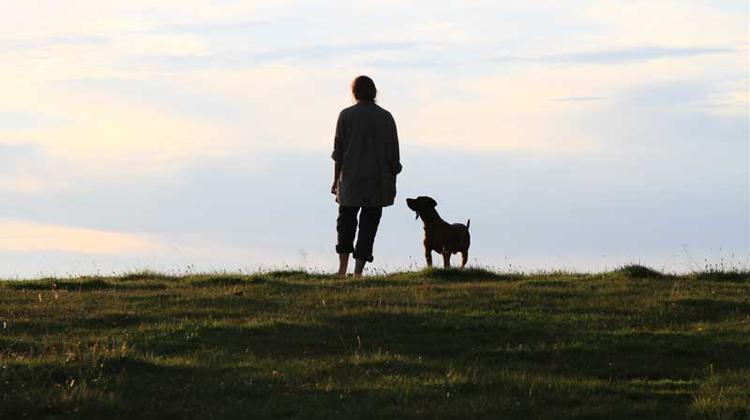 Foreign Films Enter Titanic Festival In Hungary