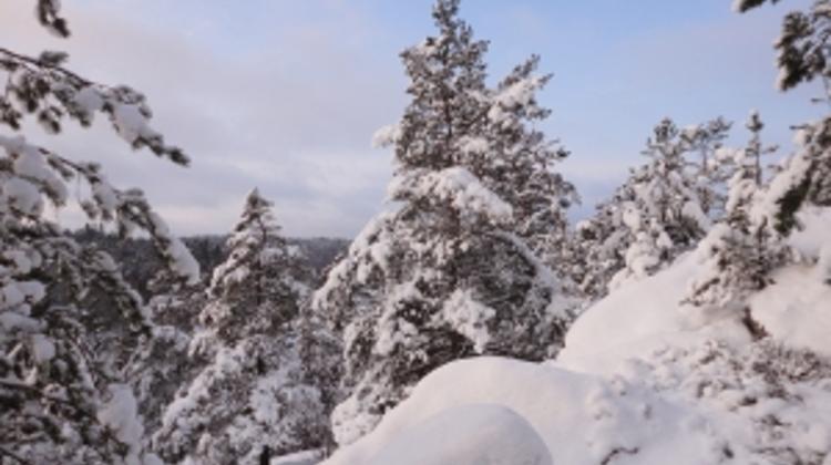 Xpat Opinion: Anniversary In Hungary Swept Away By The Snowstorm