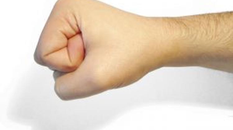 Head Of Wallenberg Society Attacked In Hungary