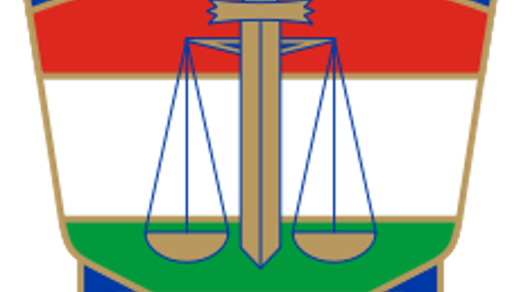 Police Officer Witnessed Brutal Beating In Hungary