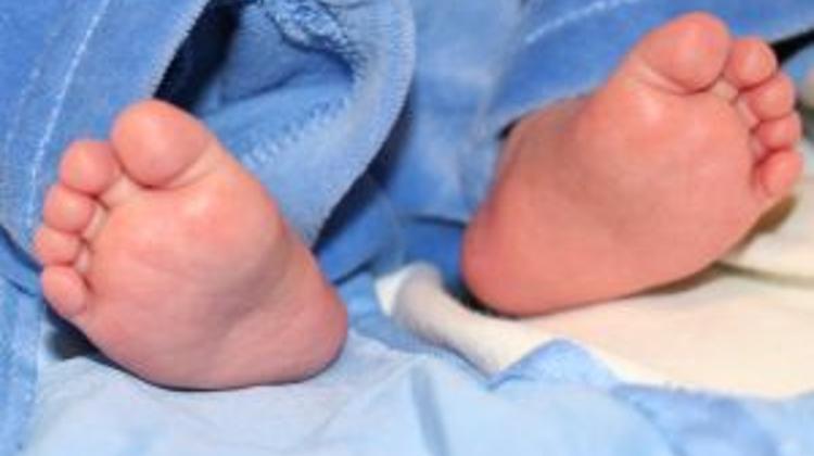 Hungary's  Government Programme To Promote Births