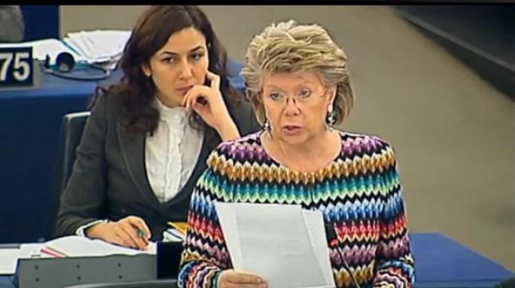 Xpat Opinion: Reding Accused Of Plotting Against Hungary