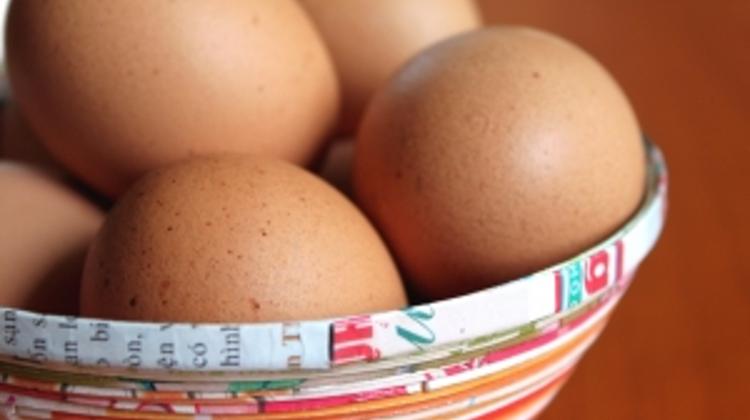 Hungary's Minister Balog Pelted With Eggs In Zurich