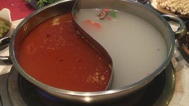 Restaurant Review: Hot Pot In Budapest - Wang Fu Restaurant