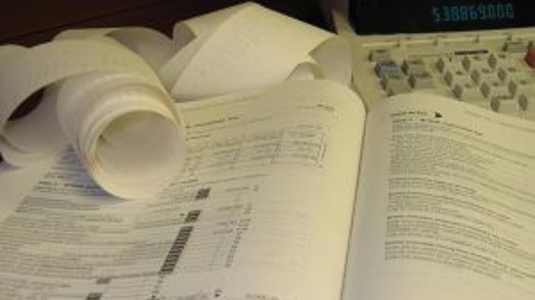 Hungarian Ministers Pay Low Income Tax