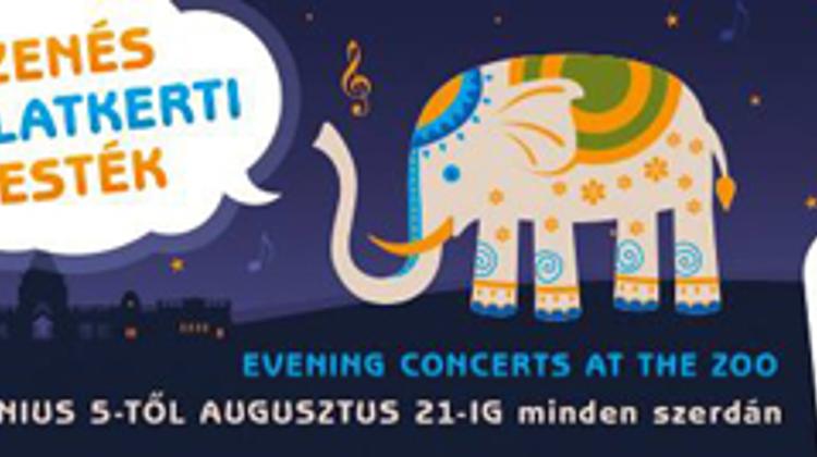 Invitation: Evening Concerts At Budapest Zoo On Wednesdays Until 7 August