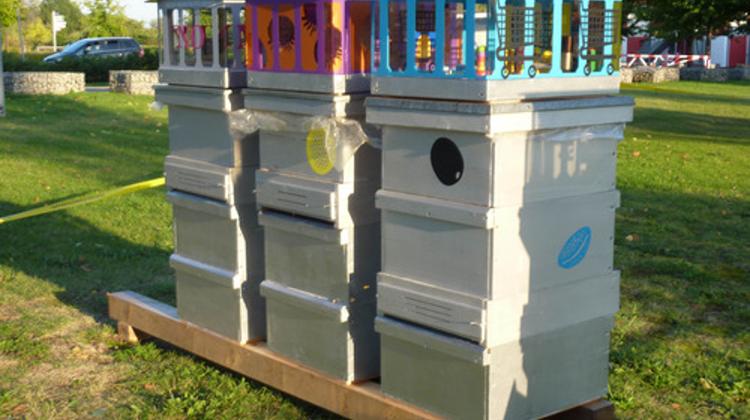 New Museum For Bees Opened In Budapest