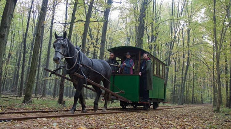 Horse Tram On Margaret Island In Budapest At Weekends