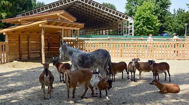 Budapest Zoo Is Expanding