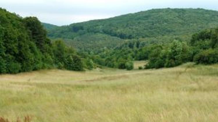 Xpat Opinion: Political Landscape Ten Months Before Elections In Hungary