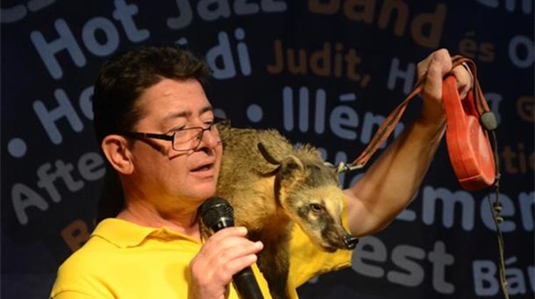 Event Report: Evening Concerts At Budapest Zoo