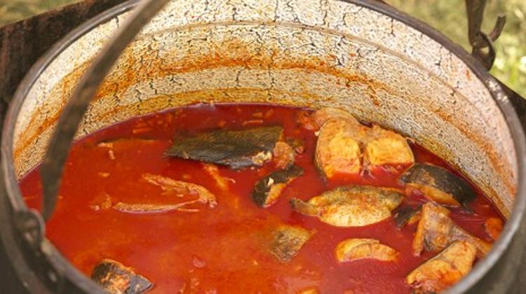 Invitation: International Tisza Fish Festival, Szeged, Hungary, 6 - 8 September