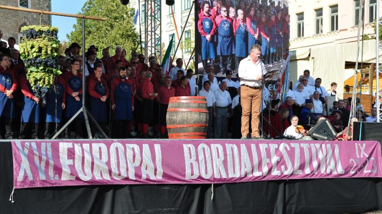 Invitation: XVII. European Wine Song Festival 2013, Pécs, Hungary, 27 - 29 Sept