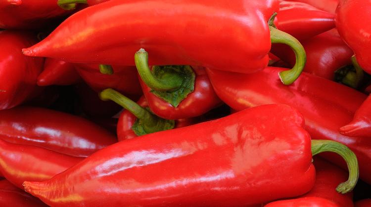 Invitation: Colours, Flavours, Scents, Museum Of  Agriculture, Budapest