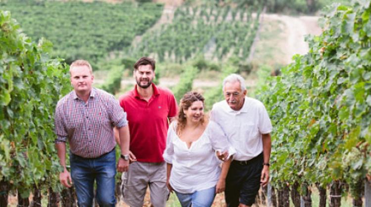 Sauska Winery’s International Recognition Dramatizes Need For State Support To Winemaking In Hungary