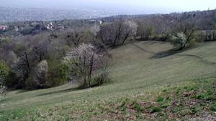 NGOs Oppose Development At Normafa  In Budapest