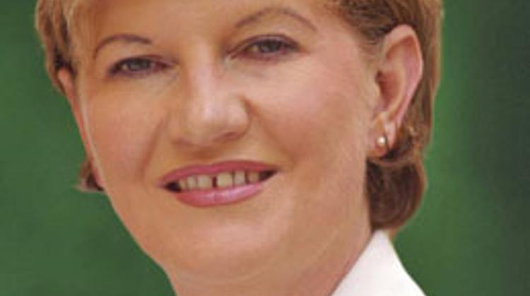 Hungary's Social Union President Szili Founds New KTI Party