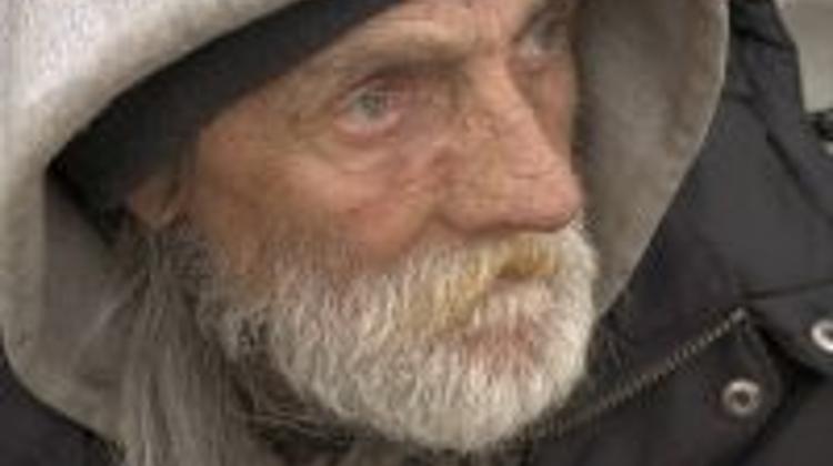 Hungary's Hunted Homeless, A Conservative Approach To Pleasant Place