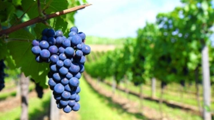 Invitation: 'Autumn Harvest Dinner' By St Margaret’s Anglican Episcopal Church In Budapest, 25 Oct